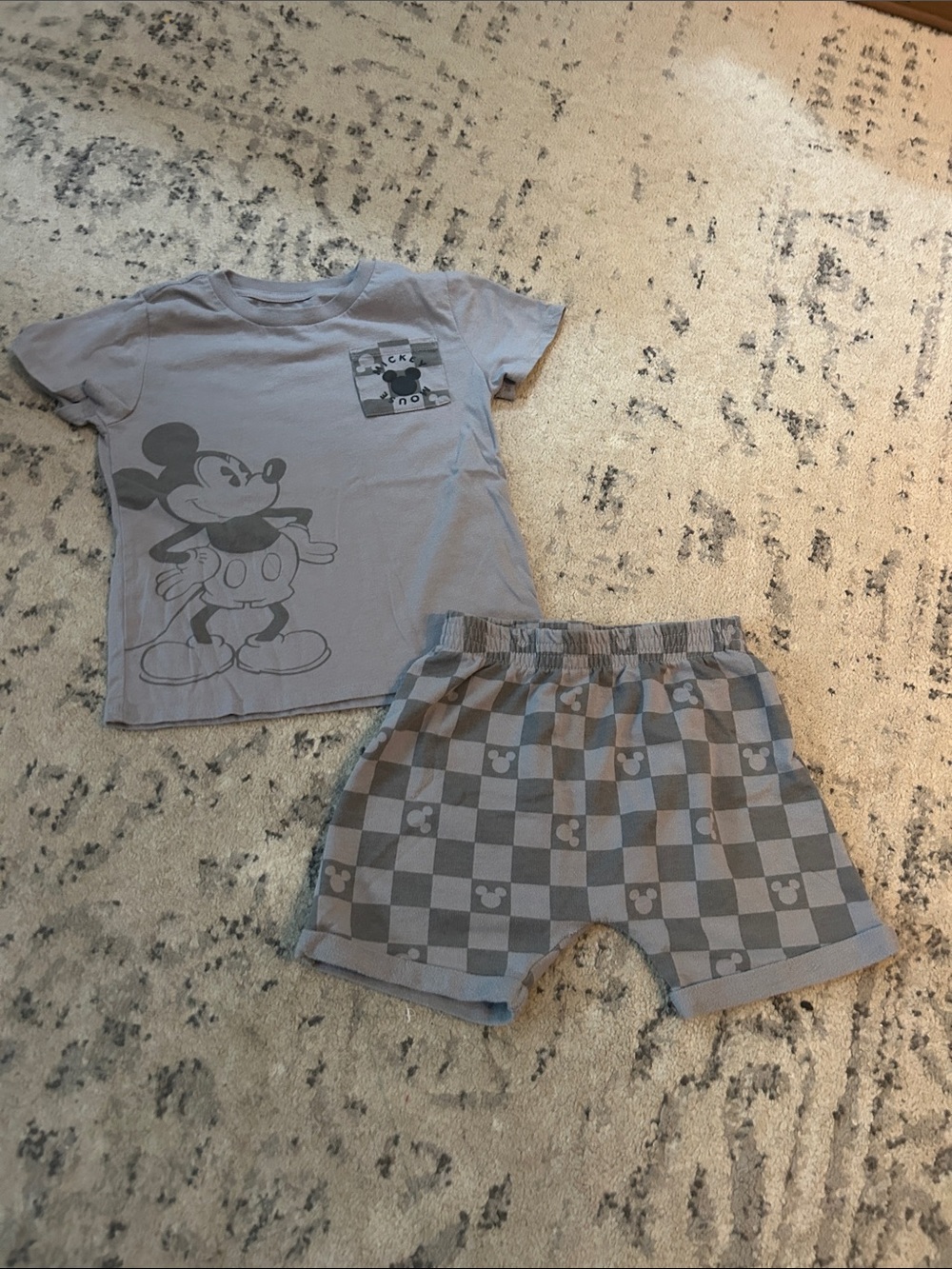 Disney Mickey and Friends Gray T-Shirt and shorts Set